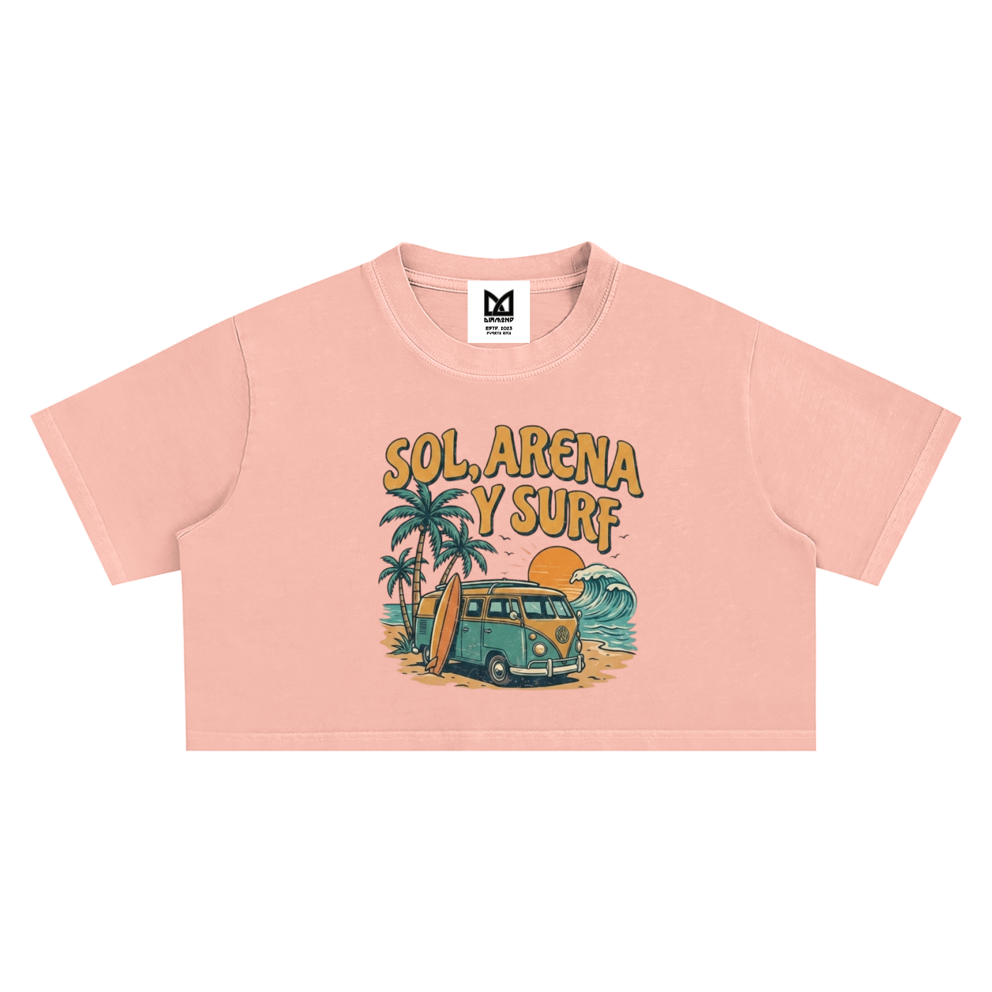 Graphic Washed Crop Top
