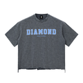 Diamond Snow Wash Raw-Hem Boxy T-shirt. Washed Cement Gray 